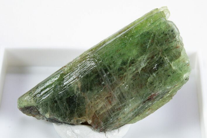 Unusual Green Kyanite Crystal - Tanzania #345724